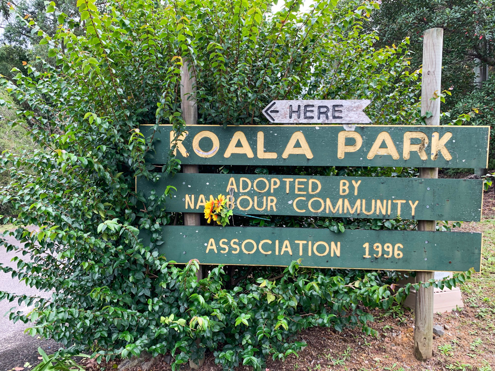 Koala Park Recreation Loop Adventure Sunshine Coast